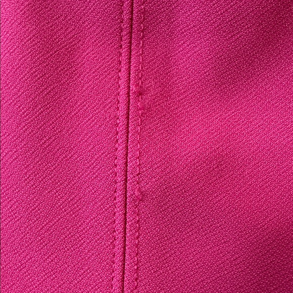 Abercrombie & Fitch Fuchsia Corset Dress Size Medium Petite - Picture 3 of 6